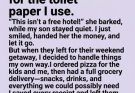 Petty demands met with a perfectly calculated payback.